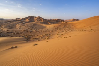 Sand dunes in the Rub Al Khali desert, the world's largest sand desert, Empty Quarter, Oman, Asia