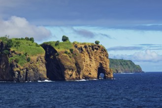 Rocks looking like a giant elephant covered with green trees and blue water under a clear sky,