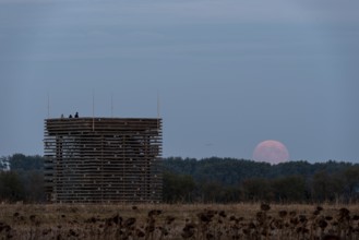 Supermoon rises behind the observation tower of the Ring Shrine Pömmelte, Pömmelte, Saxony-Anhalt,