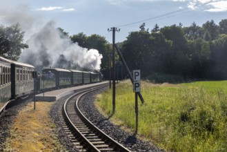 Steam locomotive travelling along a track next to green meadows and trees while smoke rises, Rügen,