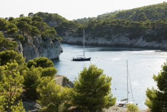 Calanque de Port Miou, Parc National des Calanques, Cassis, Bouches-du-Rhone, Provence-Alpes-Côte