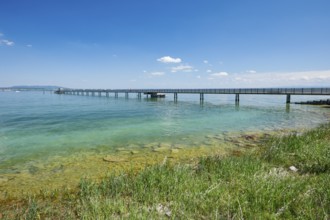 Steg on Lake Constance near Altnau in the canton of Thurgau, Switzerland, Europe