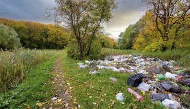 Symbolism, rubbish and waste in the landscape, AI-generated, AI-generated, AI generated