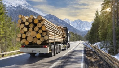 Forestry, timber industry, lorry, long timber transporter loaded with logs, on the road, AI