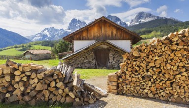 Forestry, timber industry, firewood stacked in front of a farmhouse, AI generated, AI generated