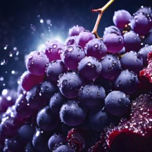 Harvest ready grape bunches with water droplets sparkling in the sunlight, AI generated