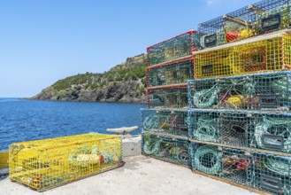 Stack of lobster pots in the harbour of the fishing village of Lark Harbour, Bay of Islands,