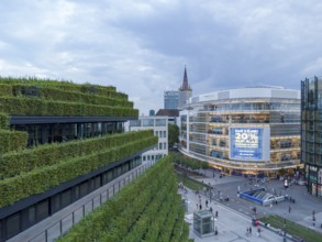 Der Kö Bogen II, Europas größte Grünfassade aus Hainbuchen, Düsseldorf, Nordrhein-Westphalen, NRW,