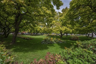 Kaisergärtchen a park with magnolia trees and flower beds in front of the Würzburg railway station