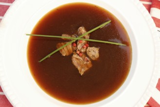 Southern German cuisine, oxtail soup with red pepper in a soup plate, bound soup, meat soup,