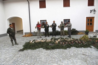 Hunters, hunting guides and hunting horn blowers blowing the shot hares (Lepus europaeus) and