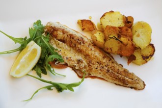 Mediterranean cuisine, fried pike-perch fillet, roast potatoes, fried potatoes, rocket salad, lemon