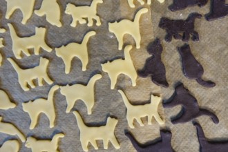 Swabian cuisine, Swabian Christmas biscuits, preparation of Ausstecherle, shortbread biscuits, cat