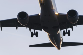 Passenger plane in the evening in front of landing, Baden-Württemberg, Germany, Europe