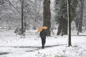 Man Walking on the Path in the Forest with an Umbrella when it's Snowing in a Snowy Winter Day in