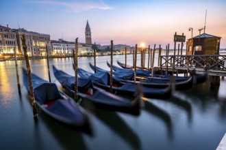 Venetian gondolas, boat dock at the customs office on the Grand Canal, Gondola Traghetto Dogana,