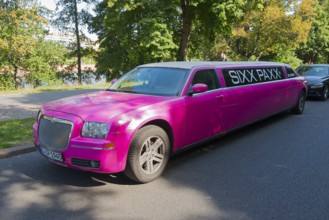 An eye-catching pink limousine parked on the roadside under trees in daylight, stretch limousine,