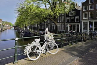 White bicycle decorated with flowers on a bridge by a canal, Amsterdam, Province of North Holland,