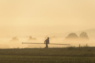 Symbolic image, climate change, global warming, a vegetable farmer lays irrigation pipes in a field