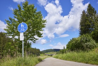 Cycle path with traffic sign for combined footpath and cycle path, cumulus clouds and tree from the