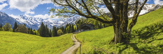 Berggasthof Hochleite, behind it the Allgäu Alps, Allgäu, Bavaria, Germany, Europe