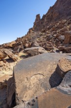 Depictions of animals on a rock slab, petroglyphs, rock engravings, Twyfelfontein, Kunene, Namibia,