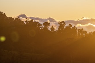 Evening mood, clouds over cloud forest, mountain rainforest, Parque Nacional Los Quetzales, Costa