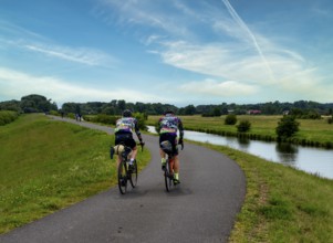 Cyclist on a cycle path by the river, landscape in the Lower Oder Valley National Park, Criewen,