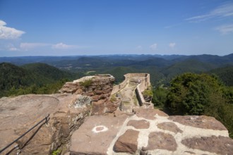 Wegelnburg Castle in the Palatinate Forest-North Vosges biosphere reserve. At 570.9 metres above