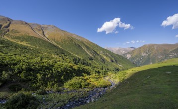 Mountain stream in a high valley, Keldike Valley on the way to the Ala Kul Pass, Tien Shan