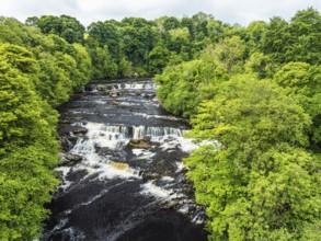 Aysgarth Falls on River Ure from a drone, Yorkshire Dales National Park, North Yorkshire, Englan