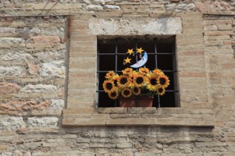 Window with a bunch of plastic flowers, sunflowers, in the historic centre of Assisi, Umbria,