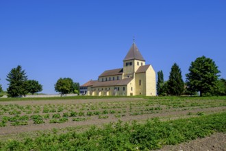 Vegetable fields in front of St George's parish church, UNESCO World Heritage Site, Oberzell,