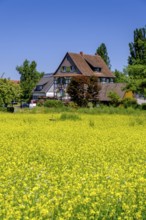 Flower gardens and houses in Mittelzell, Reichenau Island on Lake Constance, Baden-Württemberg,