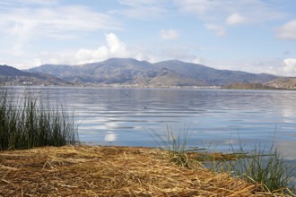 Lake Titicaca, in front a floating straw raft, behind Puno, Puno province, Peru, South America