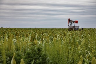 Hugoton, Kansas, An oil well in a farmer's field in southwest Kansas