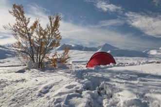 Tent in mountain landscape, Sarek National Park, Laponia World Heritage Site, Norrbotten, Lapland,