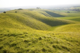 Summer view arable fields chalk landscape from Cherhill Down escarpment, Wiltshire, England, UK