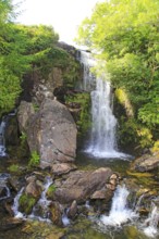 Waterfall at Tanygrisiau, near Blaenau Ffestiniog, Gwynedd, north west Wales, UK