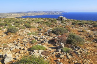 Coastal scenery vegetation blue sea looking south from Res il-Qammieh, Marfa Peninsula, Republic of