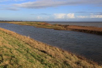 Rapid erosion of shingle bay bar landform on North Sea coast, Hollesley Bay, Bawdsey, Suffolk,