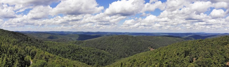 Panorama of the Palatinate Forest