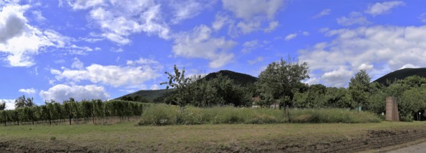 View from Edenkoben towards the Palatinate Forest with the Blättersberg in the centre of the