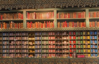 Shelf wall with decorative books and tinned food in bright colours, sardine tins, tinned sardines,