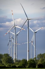 Wind farm north of Bedburg, at the Garzweiler opencast mine, on recultivated part of the opencast