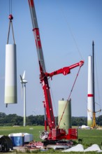 Repowering of a wind farm near Issum, here the dismantling of the tower, 9 older wind turbines from