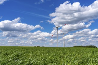 Wind farm, wind turbine, wind turbines from the manufacturer Enercon, blue sky with many white