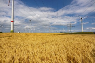 Wind farm east of Bad Wünnenberg, East Westphalia-Lippe, high-voltage power lines, grain field,