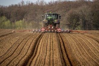 Sugar beet being sown in spring, precision sowing with precision seed drill, behind a tractor,