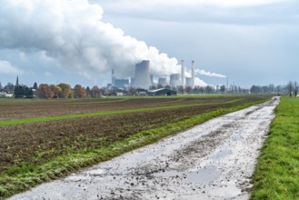 Field path, lignite-fired power station, RWE Power AG Niederaußem power station, near Bergheim,